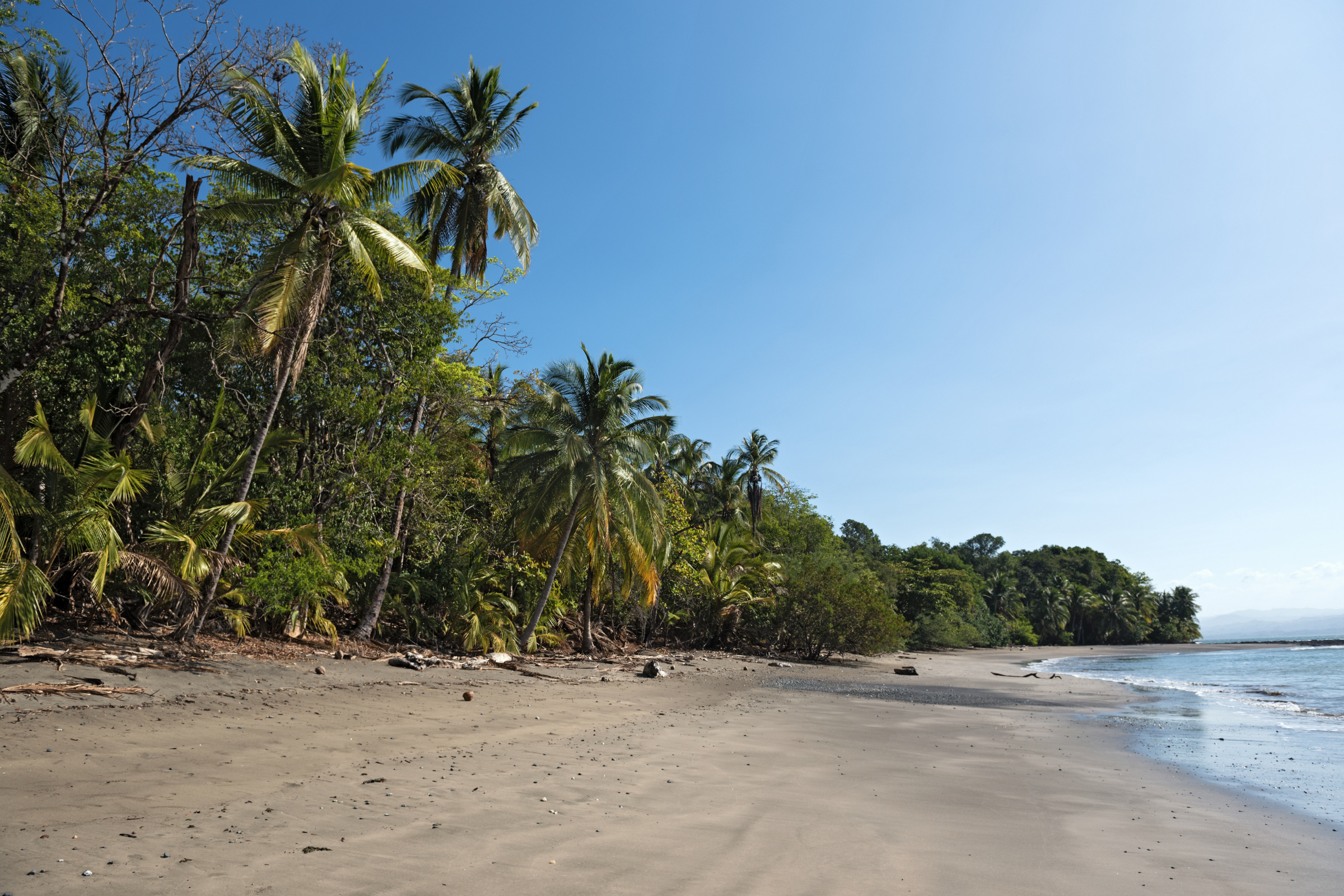 cébaco island (3).webp